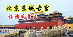 熟女抠逼中国北京-东城古宫旅游风景区